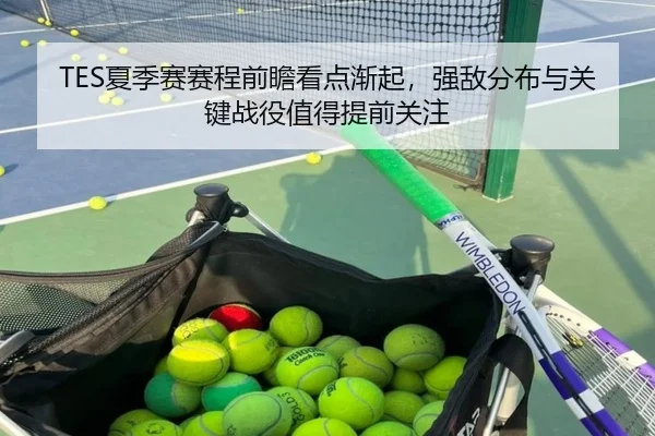 TES夏季赛赛程前瞻看点渐起，强敌分布与关键战役值得提前关注 | kaiyun